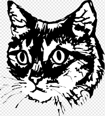 Namun, salah satu warga jepang memiliki cara unik untuk menemukan kucing kesayangan. Kitten Sphynx Cat Drawing Pet Ilustrator Kucing Mamalia Wajah Hewan Png Pngwing