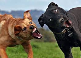 Perchè e quando rivolgersi