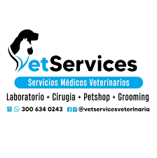 CLINICA VETERINARIA VETSERVICES
