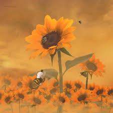 Sampled outstanding by the gap band (1982) the magic mirror from snow white and the seven dwarfs (1937). Tyler The Creator Flower Boy Fan Art Tylerthecreator