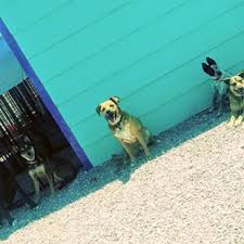 Fromm family foods artisan pet food and treats are sold through the following independent and locally owned pet supply stores in cañon city, colorado. Local Free Royalgorge Info