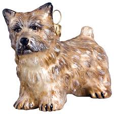 Maybe you would like to learn more about one of these? Cairn Terrier Ornament Christmas Ornaments By Joy To The World Houzz