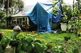 Image result for Green 2005 AA