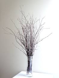 Birch Branches For Sale Sale Natural White Birch Twigs For Diy Projects 14 00 Via Etsy Dried Flowers Twig Diy Projects