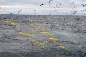 Maybe you would like to learn more about one of these? Protecting Albatross From Fishing Lines Magazine Articles Wwf