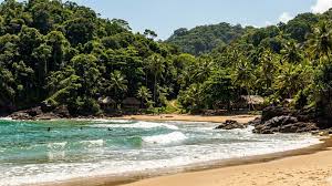O Havaí Baiano ficou escondido por décadas e hoje abriga mais de 20 praias cercadas por Mata Atlântica