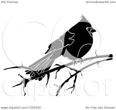 You can download the cardinal black and white cliparts in it's original format by loading the clipart and clickign the downlaod button. Royalty Free Vector Clip Art Illustration Of A Black And White Cardinal On A Bare Branch By Pams Clipart 1056030