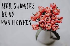 I would like to be an english teacher for adolescent education. April Showers Bring May Flowers Apartmentvestors Proven Multifamily Apartment Investments And Education For Passive Investors