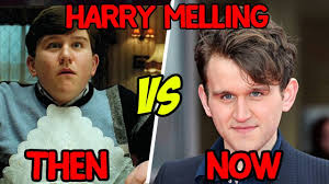 He also did the voice for the character in the video game adaptation of harry potter and the order of the phoenix. Then Vs Now Harry Melling Dudley Dursley In Harry Potter Youtube