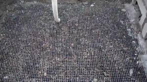 How To Build Raised Beds That Last 4 See All Nine Building Raised Beds Raised Beds Bed