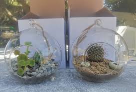 After recently sharing how to create mini marbled painted pots, i wanted to follow that post up with a little something about caring for the cacti inside them. Hanging Glass Balls Hanging Planters Terrariums Cape Town