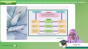 33 pengangkutan dalam tumbuhan melalui xilemdan floem daun batang akar. F3 Sains 03 09 Sistem Peredaran Darah Dalam Haiwan Dan Sistem Pengangkutan Dalam Tumbuhan My E Tuition