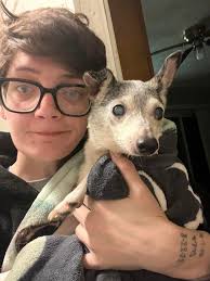 Lost Blind Dog Found in Des Moines Area