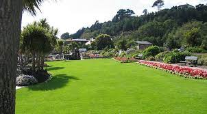 When you talk to the companies that offer lawn service near me, ask questions that give you important information you can use as you. Lawn And Garden Stores Near Me Find The Best Supplies Near You 2019 Lawn And Garden Backyard Plants Lawn