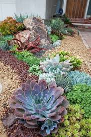 Come Creare Un Giardino Roccioso Giardino Roccioso Idee Giardino Piante Grasse Giardino Di Piante Grasse