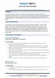 dot net developer resume samples