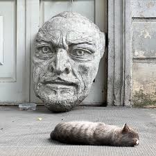 Misha Ivanov (@whatmisha) • Instagram photos and videos