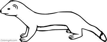 Realistic animals coloring pages 05 classroom ideas. Realistic Animal Coloring Pages To Print Weasle Coloring Name B107 Gold