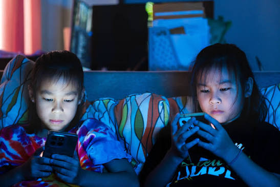 📲 How can we make online spaces safer for young people? 🌲 Could  biodiversity loss trigger a wave of debt crises? Find out in the next  edition of Research at Sussex, your