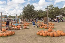 How to create grapevine lighting balls i wish i could dream up a better name other balls. 9 894 String Lights Decoration Photos Free Royalty Free Stock Photos From Dreamstime