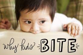 Why Do Children Bite And What Can You Do To Prevent It? - Sunrise Montessori