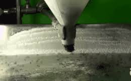 Kết quả hình ảnh cho KIẾN