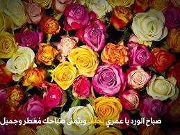 15 عبارات حب وغزل للحبيب. Ø®Ù„ÙÙŠØ§Øª ÙˆØ±Ø¯ Ù…ÙƒØªÙˆØ¨ Ø¹Ù„ÙŠÙ‡Ø§ Ø­Ù„Ù‰ Ø­Ù„ÙÙŠØ§Øª ÙˆØ±Ø¯ Ù…ÙƒØªÙˆØ¨ Ø¹Ù„ÙŠÙ‡Ø§ ÙƒÙ„Ø§Ù… Ø­Ù„ÙˆÙ‡ Ø§Ø­Ø¨Ùƒ Ù…ÙˆØª