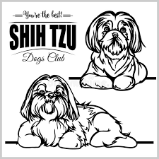 English mastiff coloring page from dogs category. Tzu Sketch Stock Illustrations 125 Tzu Sketch Stock Illustrations Vectors Clipart Dreamstime