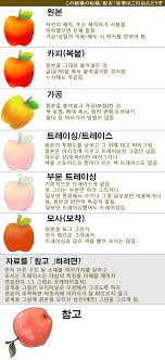 트레이스 (r218 판) - 나무위키