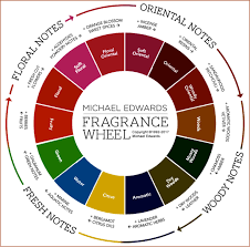 Classification Of Fragrances Best Selling Perfume