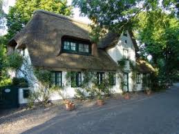 Due to the age of many thatched roofs, their potential maintenance costs, and the links to fire risks, some insurance companies charge a higher premium to cover them. 5 Things To Check With Thatch Insurance Policy Conditions Moneyhighstreet