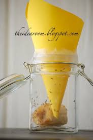Sehr Nutzlich Diese Idee Von Hobbykoechin Fruit Fly Trap Household Hacks Fruit Flies