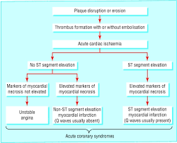 Although stable and unstable angina have similar symptoms, they differ in terms of severity and when the symptoms occur. Acute Coronary Syndrome Unstable Angina And Non St Segment Elevation Myocardial Infarction Abstract Europe Pmc