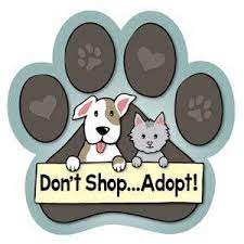 We are dedicated to rescuing, caring for and adopting out homeless dogs and cats into loving and responsible homes. We Can T Believe The Second Chance Pet Adoption League Facebook