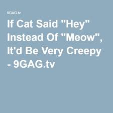 If Cat Said Hey Instead Of Meow It D Be Very Creepy 9gag Tv Say Hey Meows Talking Animals