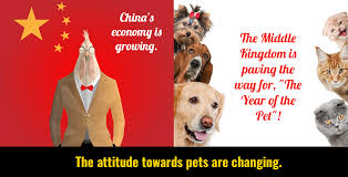 Chinese taipei ice hockey federation rm. Pet Ownership Controversy And The New Normal Chinesepod Official Blog