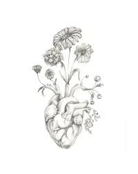 You can edit any of drawings via our online image editor before downloading. 8x10 Print Of Original Drawing Blooming Heart Graphite Art Anatomy Floral Heart Valentine Original Drawing Heart Drawing Drawings