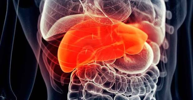 Signs of Fatty Liver | YourCareEverywhere
