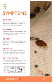Also, some people have no reaction when they are bitten by a bed bug, or it looks more like a rash than a bite. 5 Signs Bed Bugs Leave Everywhere They Go Debedbug
