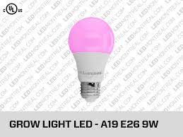 Luminus led dimmable retrofit light kit 1300 lumens flood lamp 868151. A19 9w Led Grow Light Led Montreal