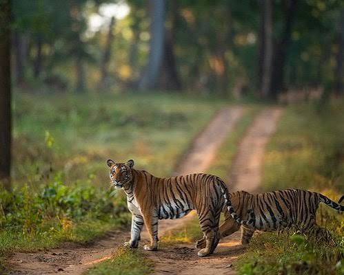 Mysuru & Coorg