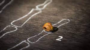 Some experts have argued that denisovans are an entirely new species of our genus, homo, but others think that they are merely eastern neanderthals. Denisovans New Scientist