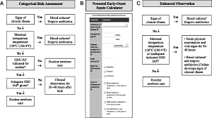Image result for Group B Streptococcus Prophylaxis