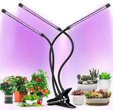 Grow light spectrum refers to the electromagnetic wavelengths of light produced by a light source to promote plant growth. Buy Grow Lights Plant Light For Indoor Plants Lamps Auto On Off Timer Online In Turkey B08237vj5w