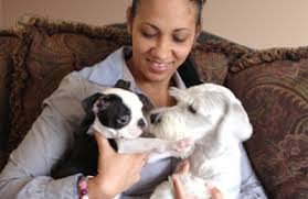 A list of options may be retrieved based on your typed query. Odalys Mobile Dog Grooming Miami Sw Miami Miami Fl 33176 Yp Com