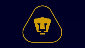 Entre y conozca nuestras increíbles ofertas y promociones. Verano Notorio Harina Colores De Pumas Atravesar Imperio Inca Hacia Arriba