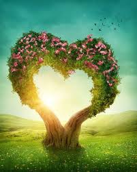 Valentines Day Backgrounds Tree Backdrops Love Backdrop J03230 Heart In Nature Heart Tree Green Scenery