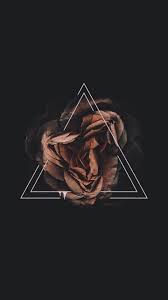 Papel De Parede Com Rosa Imagens Para Wallpaper Planos De Fundo Papeis De Parede