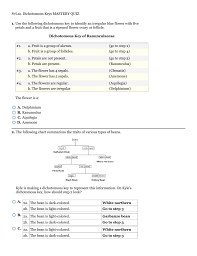 S7l1a Dichotomous Keys Mastery Quiz