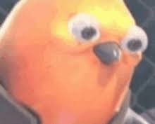 We did not find results for: You Little Shit Gifs Tenor